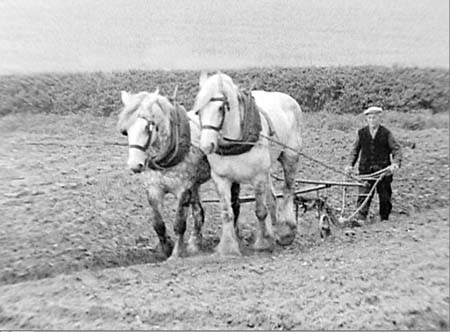 1949 Farming 09