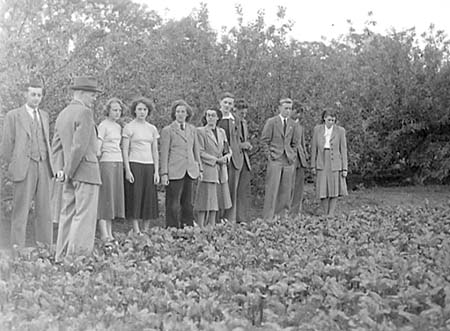 1950 Young Farmers 05