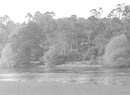 1956 Lake 04