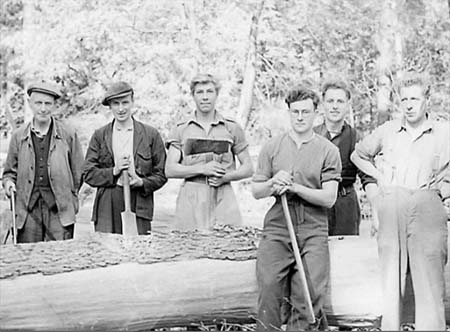 1948 Woodcutting 02