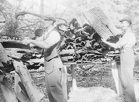 1948 Woodcutting 04