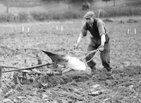 1947 Farming 02