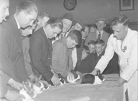 1947 Rabbit Show 04