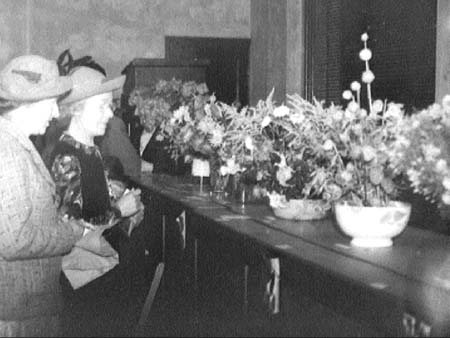 Flower Show 1942.2273