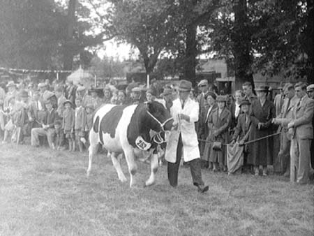 Bedfordshire 1939.1667