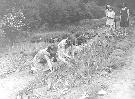 1947 Gardening 07