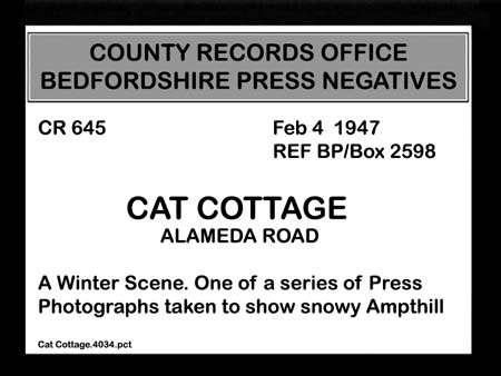 07 Cat Cottage