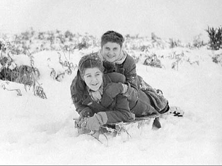 24 Tobogganing