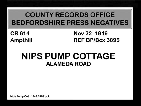 Nips Pump Cott. 1949.3961