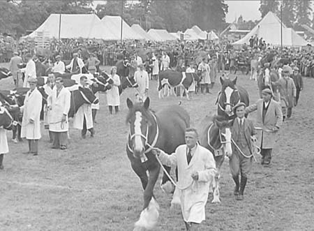 Grand Parade 12