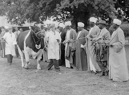 Sudan Farmers 05