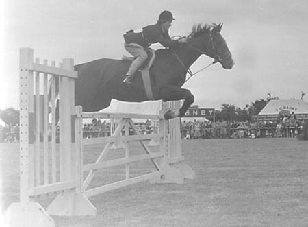 Showjumping 03