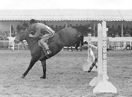 Showjumping 02