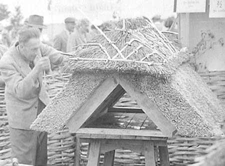 Thatching Stand 06