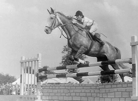 Showjumping 02