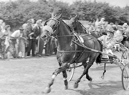 Trotting Race 05