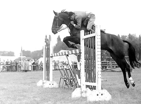 Showjumping 05