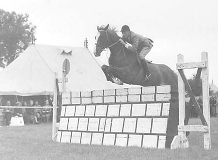 Showjumping 06