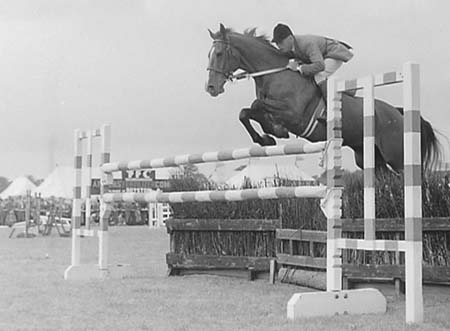 Showjumping 02