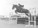 Showjumping 01