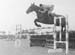 Showjumping 04