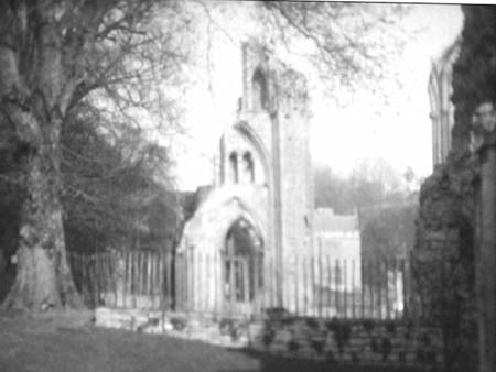 Glastonbury Abbey 4983