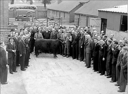 Bovril Farm 1949 04
