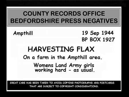 Flax Harvest 1944.01
