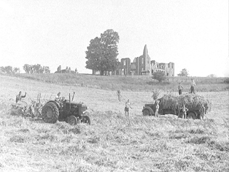 Harvesting 1949 03