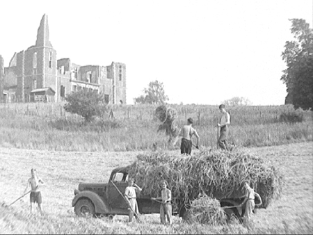 Harvesting 1949 08