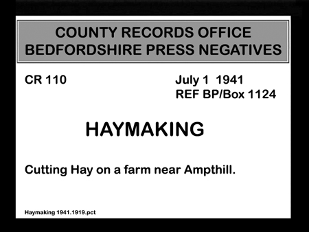 Haymaking 1941.1919