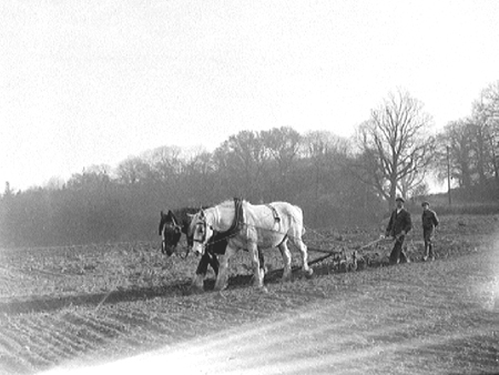 Ploughing 1943.2306