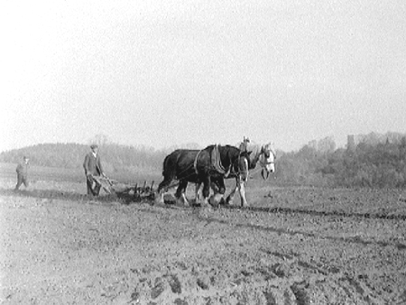 Ploughing 1943.2307