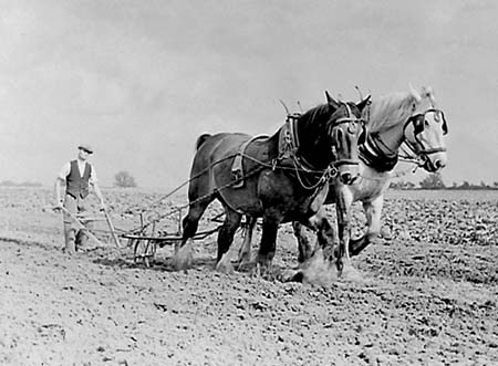 1945 Ploughing