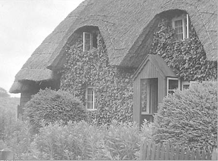 1947 Old Cottage 02