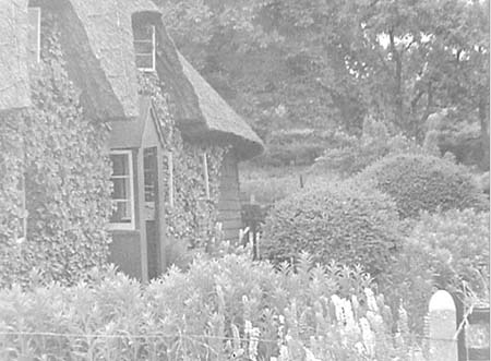 1947 Old Cottage 05