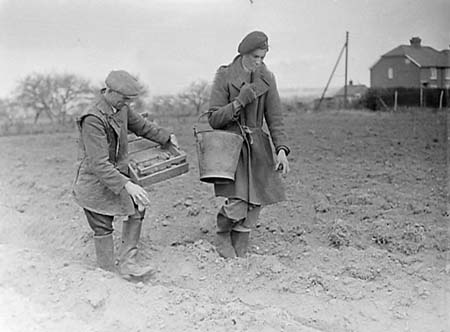 1948 Potato Planting 01