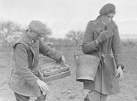 1948 Potato Planting 02