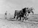 1945 Ploughing