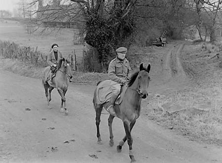 1953 Racehorses 01