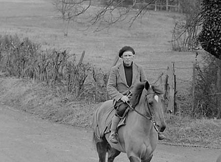 1953 Racehorses 03