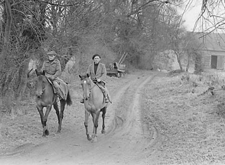 1953 Racehorses 04