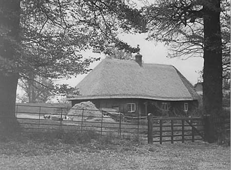 1945 Thatching 01