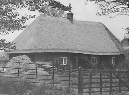 1945 Thatching 02