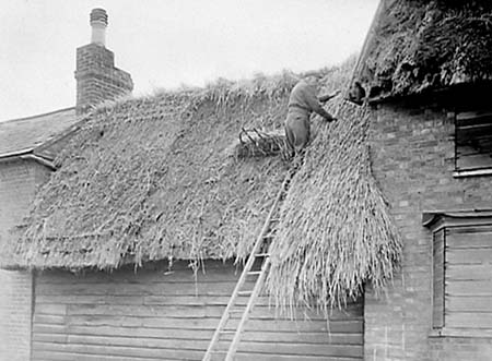 1947 Thatching 05