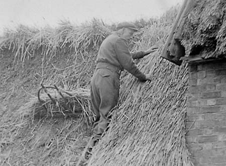 1947 Thatching 06