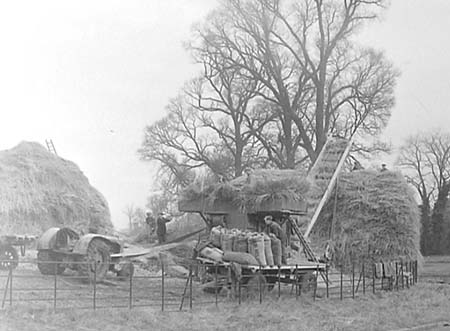 1949 Threshing 04