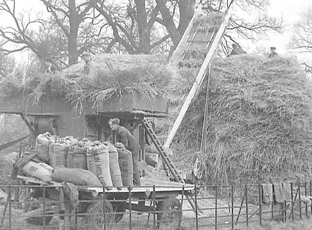 1949 Threshing 06