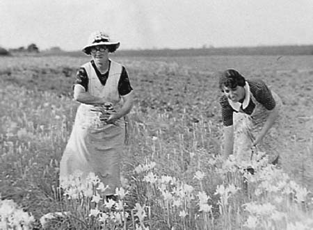 1941 Flower Pickers 03