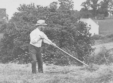 1890s Haymaking 02